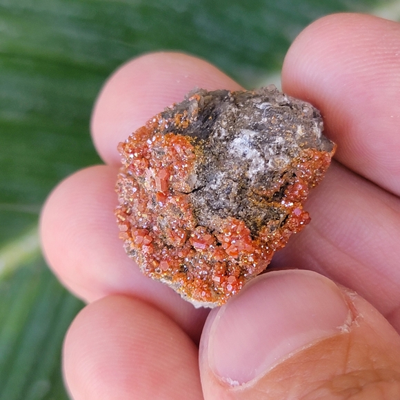 Arizona Vanadinite Rock | Red Crystals | La Paz County | Arizona | Raw Stone - Picture 6 of 8
